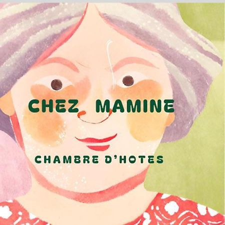 Castanet-Tolosan Chez Mamine B&B 외부 사진